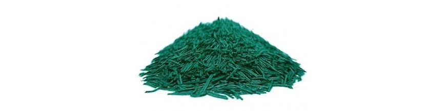 Spiruline en brindilles