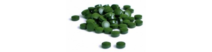 Spiruline comprimés