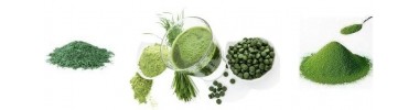 Spiruline