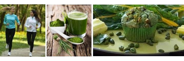 Spiruline-bienfait-quel-usage